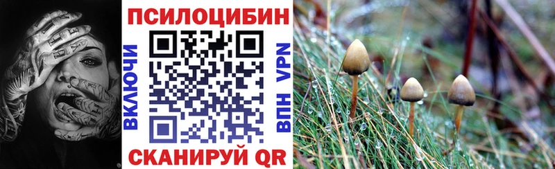 Галлюциногенные грибы прущие грибы  даркнет как зайти  Вятские Поляны 